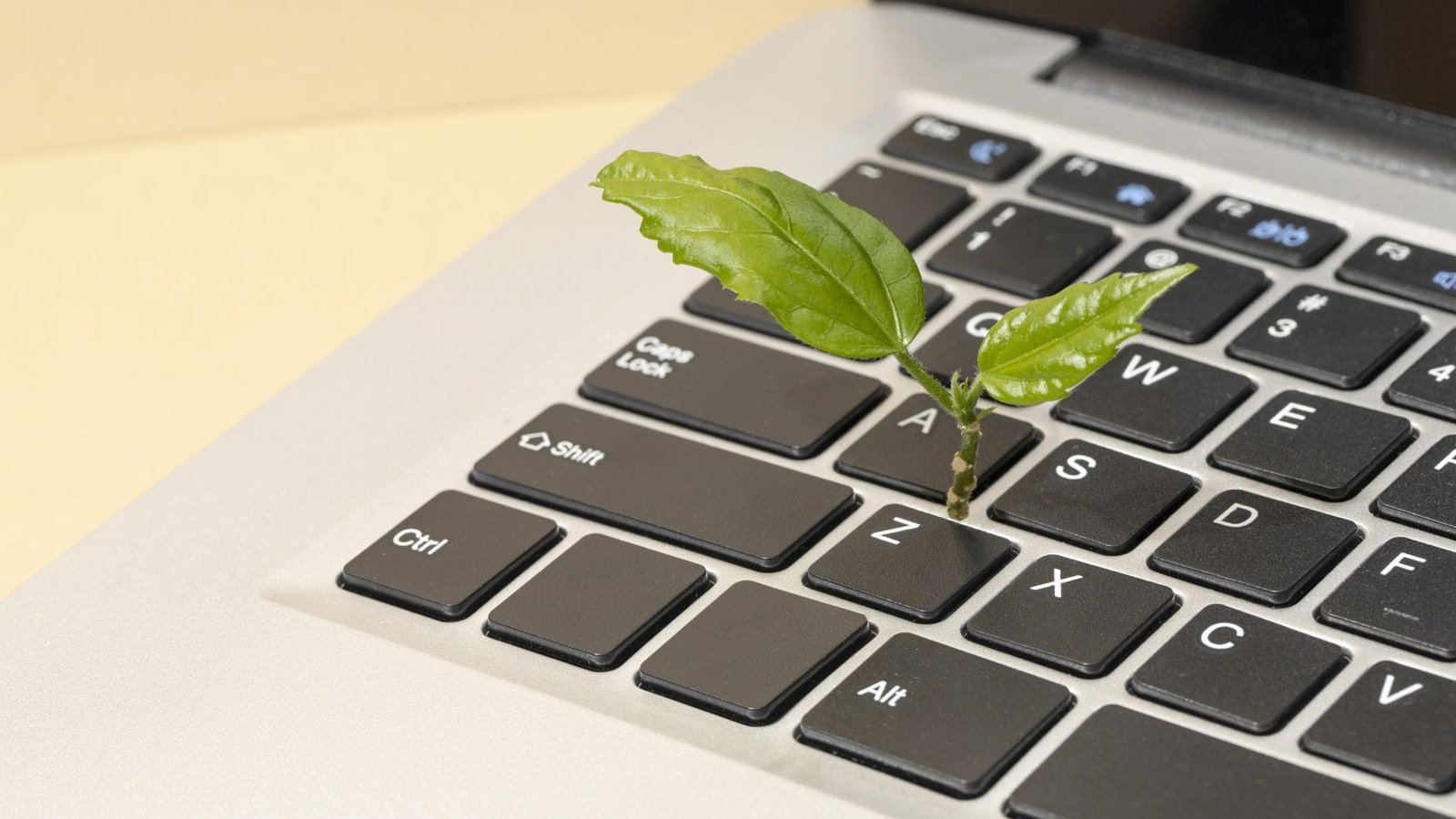 Laptop sostenible con planta verde creciendo del teclado representando la tecnología ecológica y el compromiso ambiental de Acer en 2024
