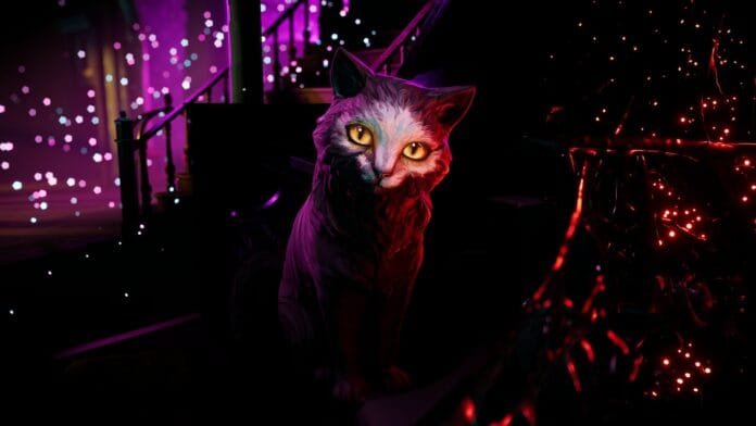 Gato sardónico de There Are No Ghosts at the Grand con ojos dorados en ambiente místico del hotel embrujado